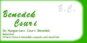 benedek csuri business card